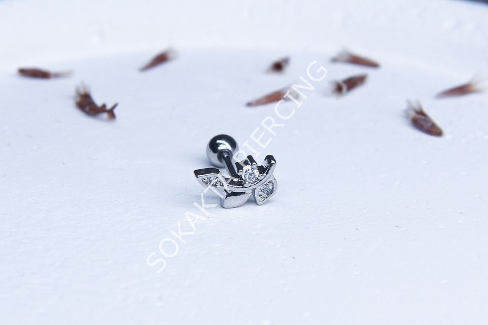 A43 - TRAGUS