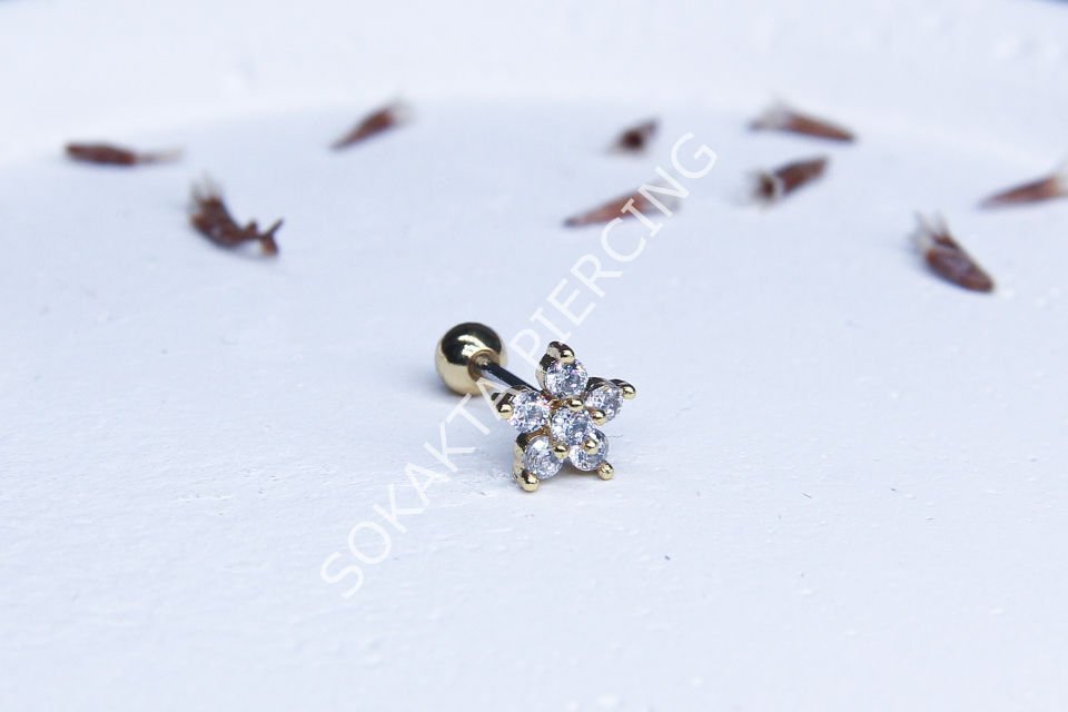 A81 - TRAGUS Gold