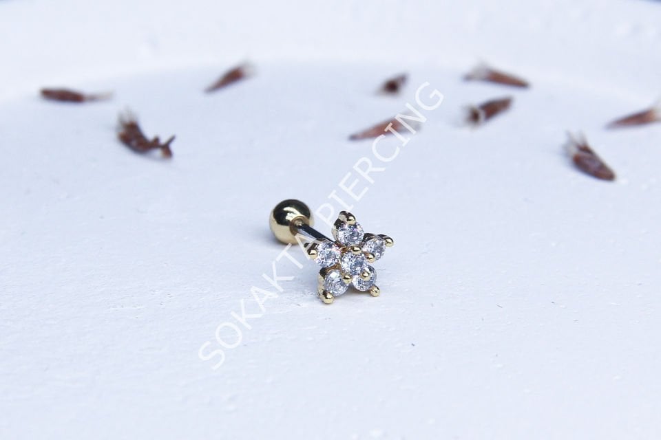 A81 - TRAGUS Silver