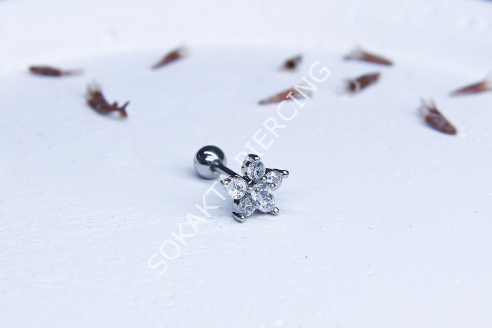A81 - TRAGUS Silver
