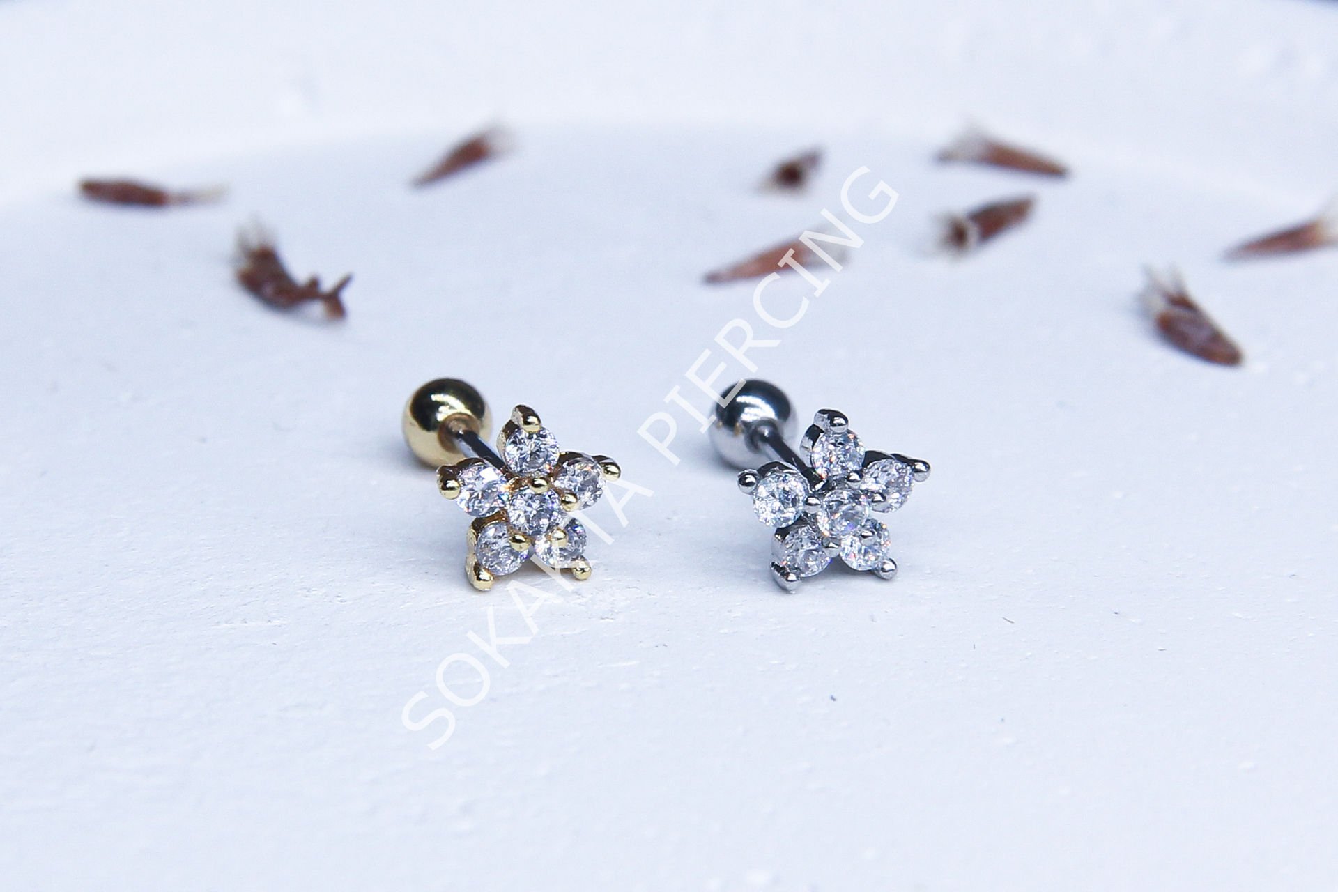 A81 - TRAGUS Silver