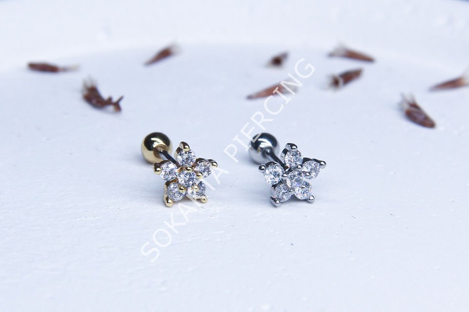 A81 - TRAGUS Silver