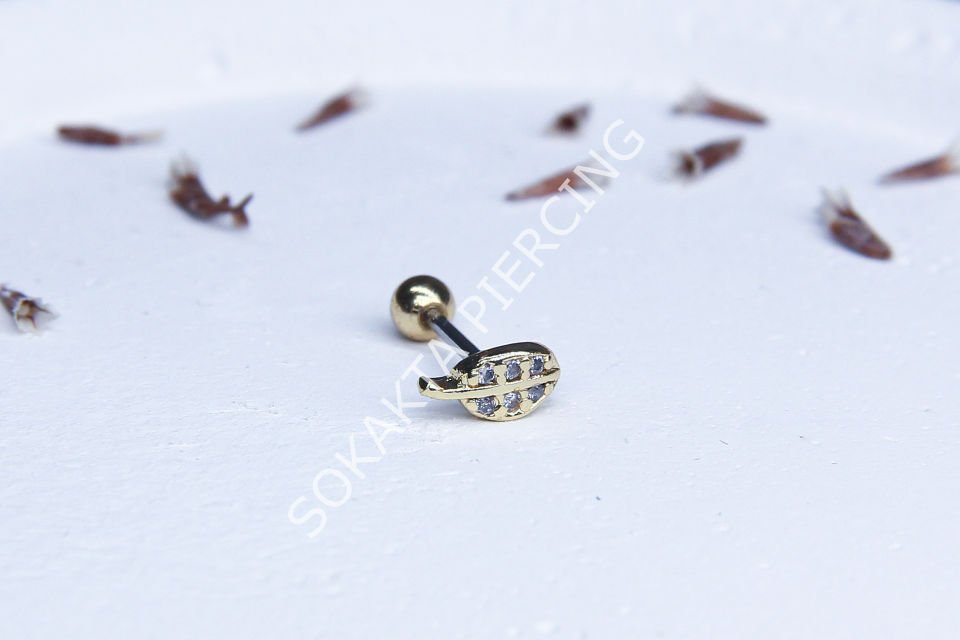 A97 - TRAGUS Gold