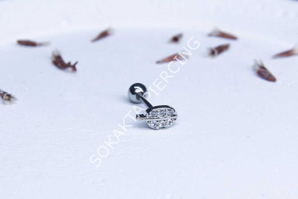 Z95 - TRAGUS