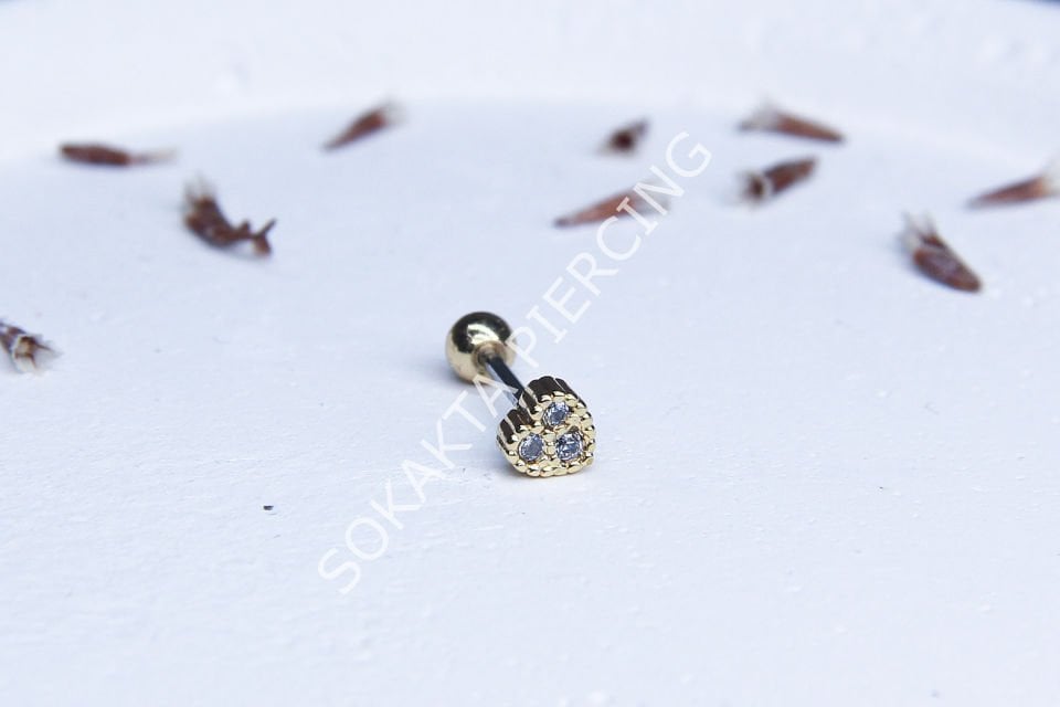 B53 - TRAGUS Gold