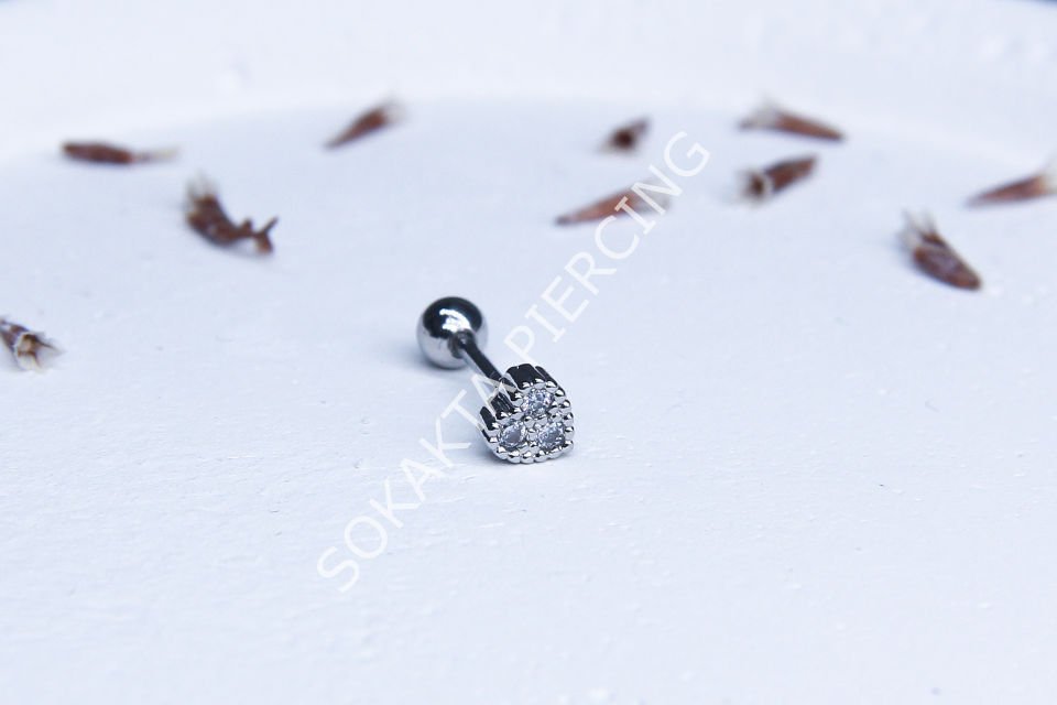 B53 - TRAGUS