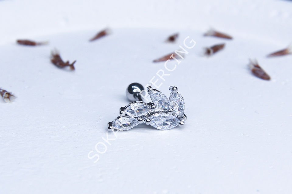 C26 - TRAGUS Silver