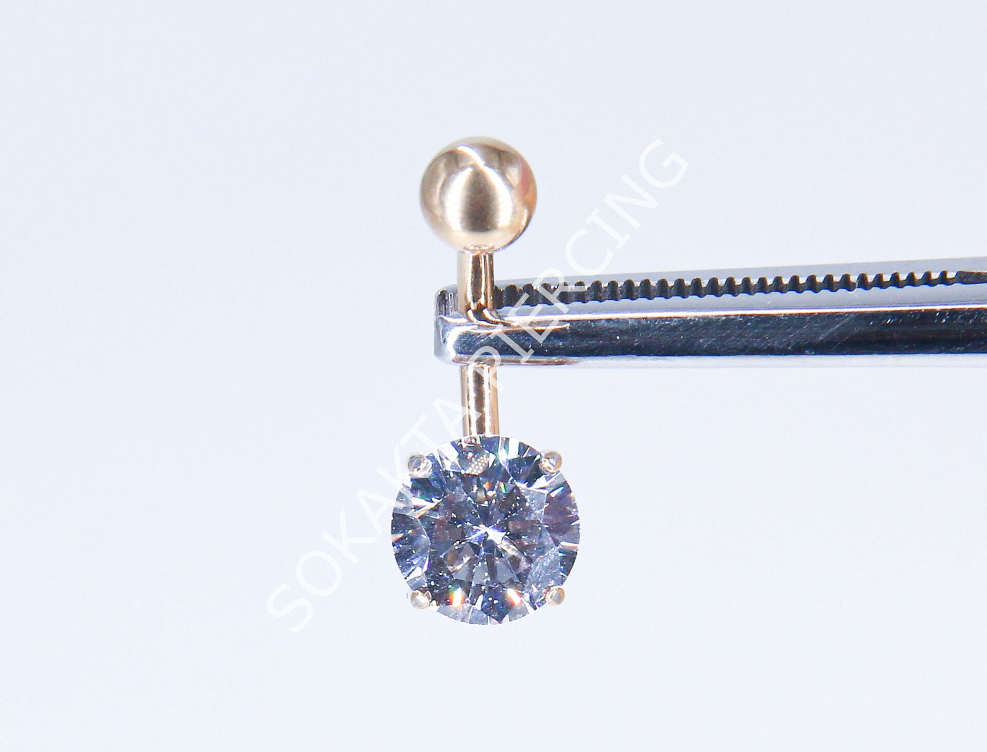 F280 - TITANIUM GÖBEK