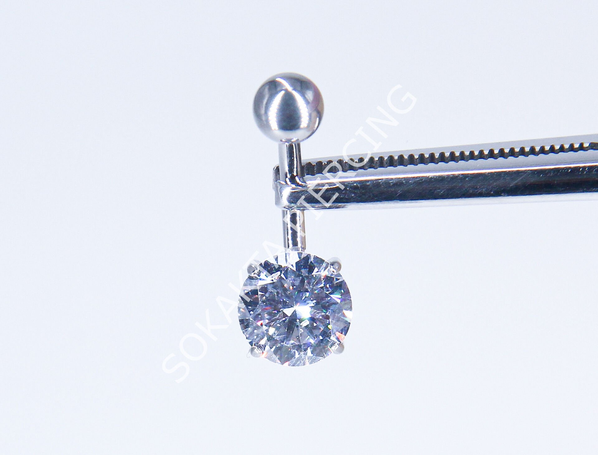 F281 - TITANIUM GÖBEK