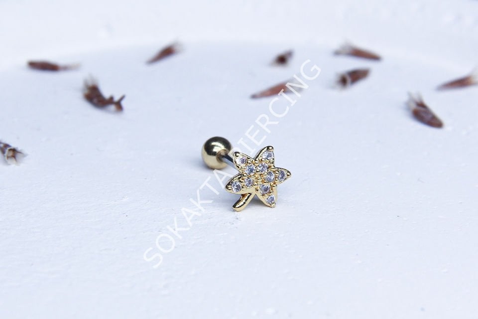 B12- TRAGUS