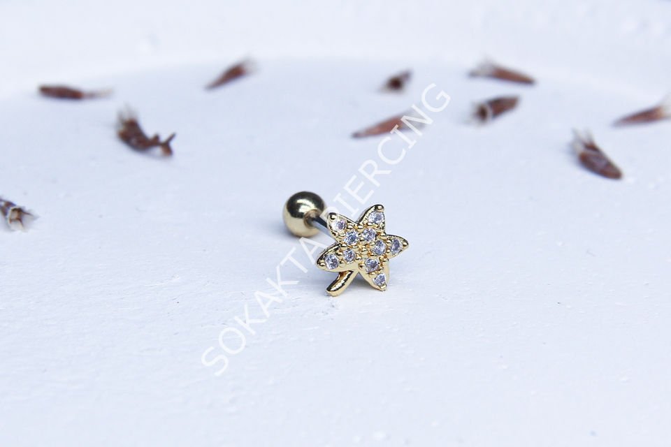 B12- TRAGUS Gold