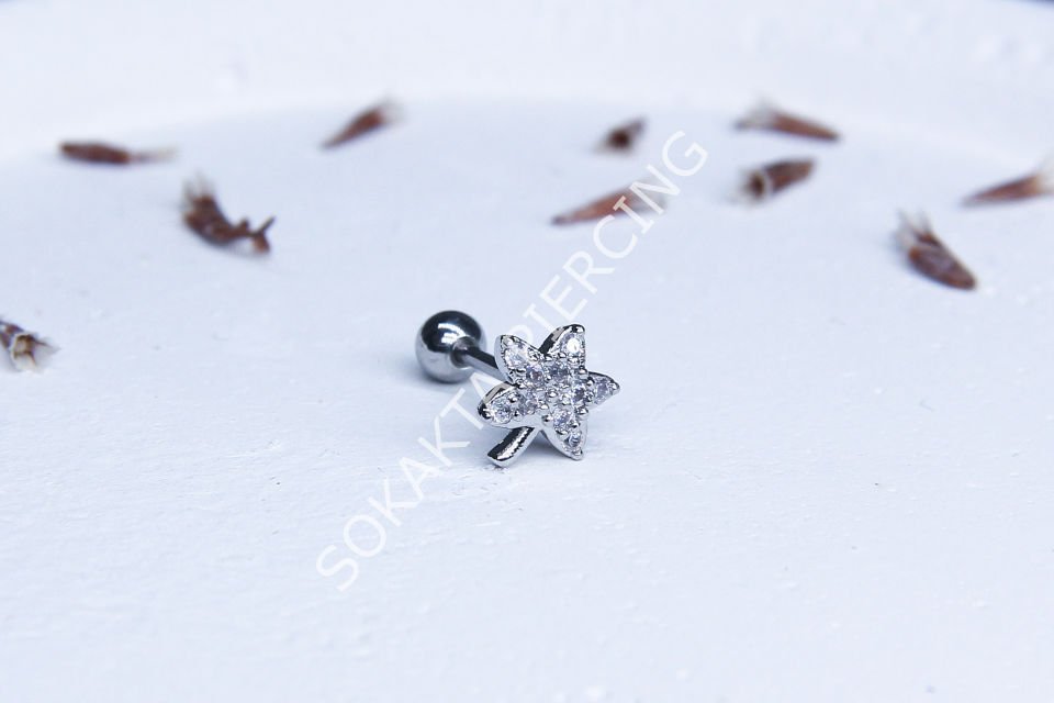 B12- TRAGUS Gold