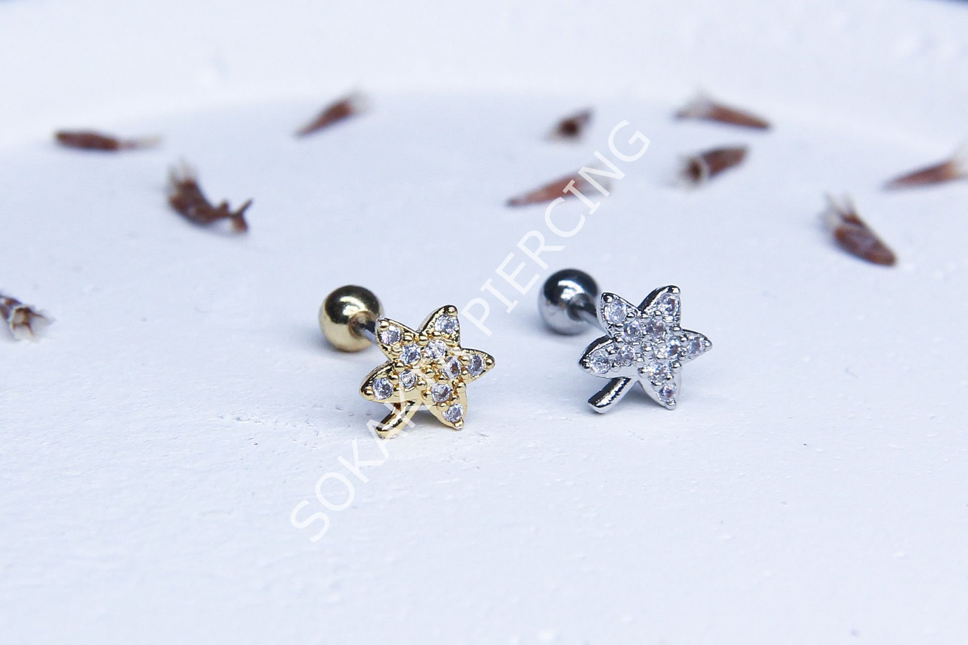 B12- TRAGUS Gold