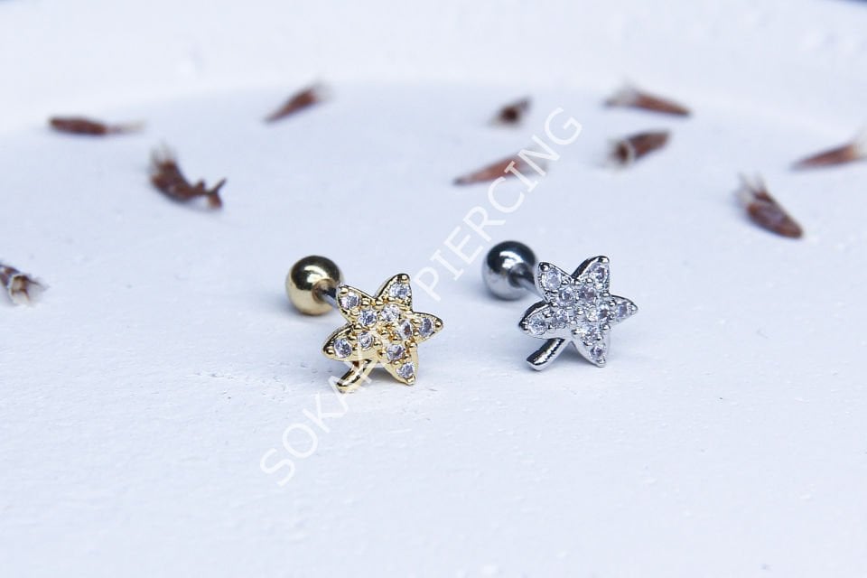 B12- TRAGUS