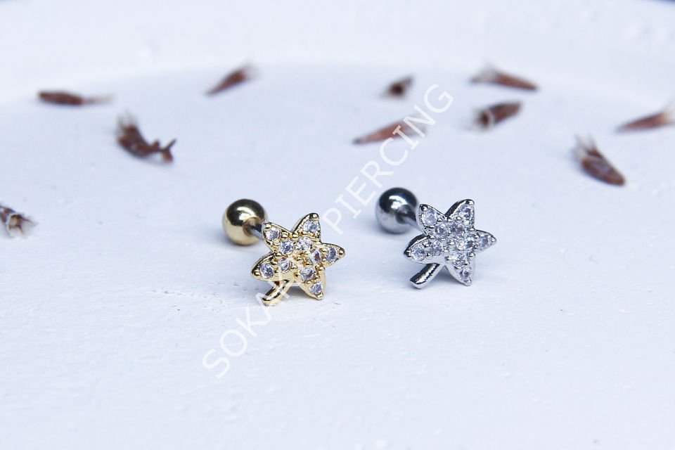 B12- TRAGUS Gold
