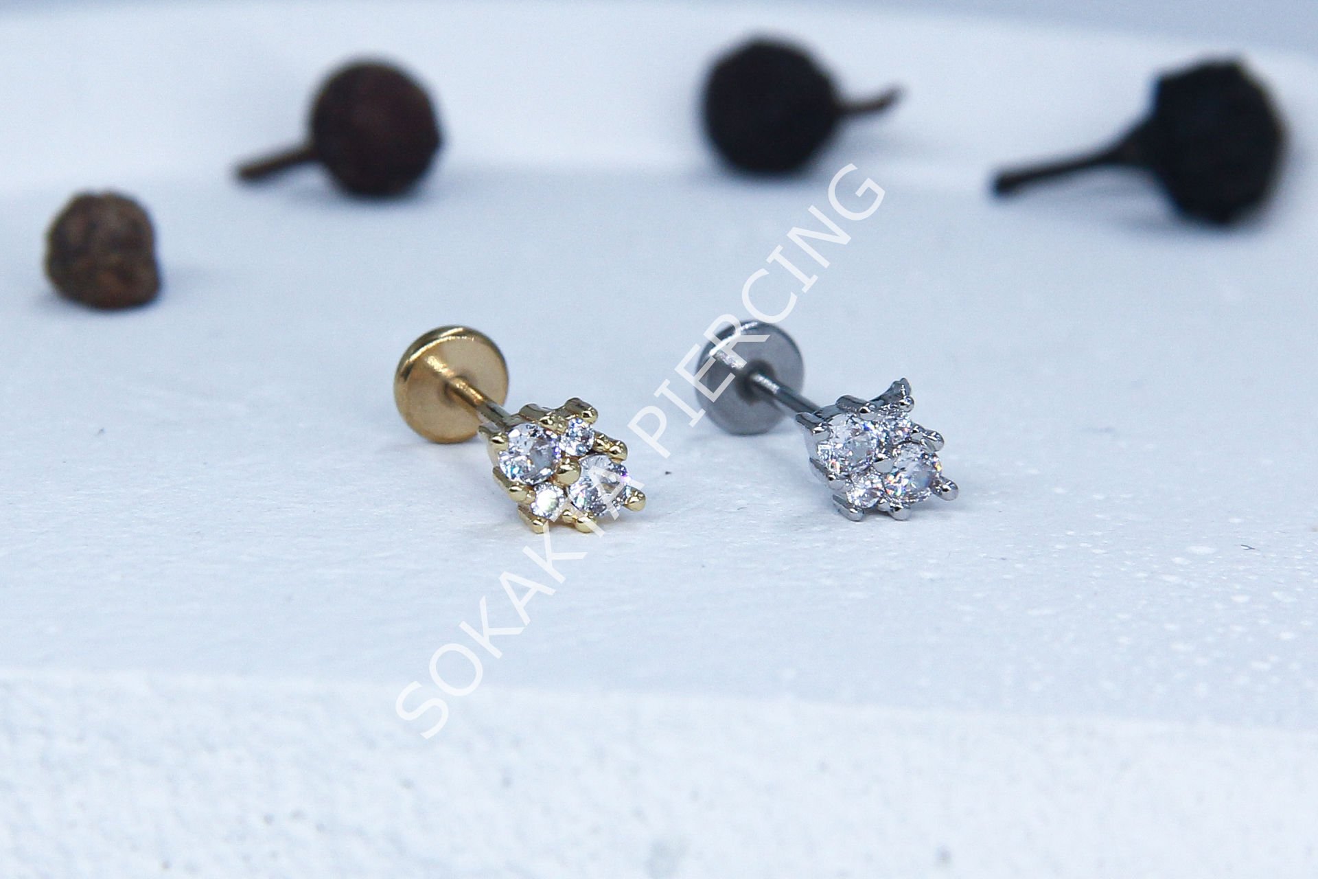 C58 - TRAGUS