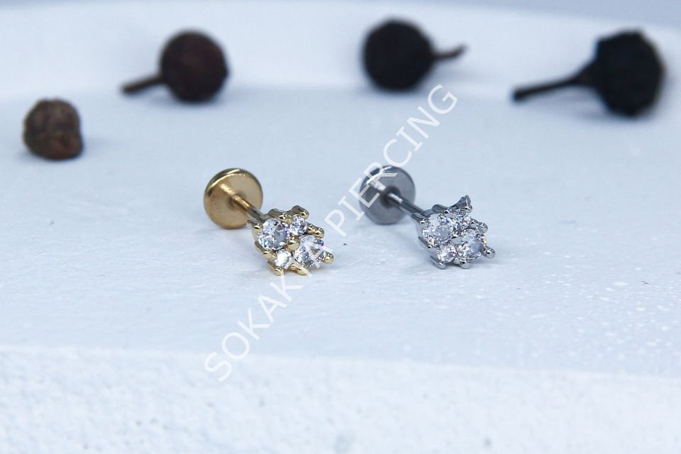 C58 - TRAGUS