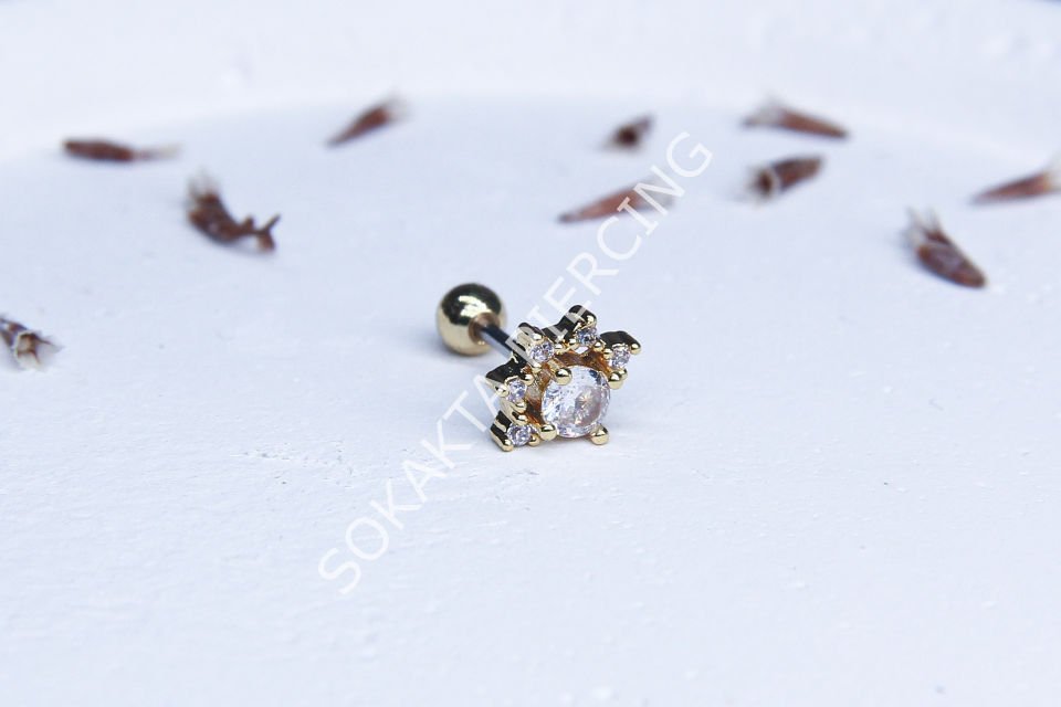 ZB59 - TRAGUS