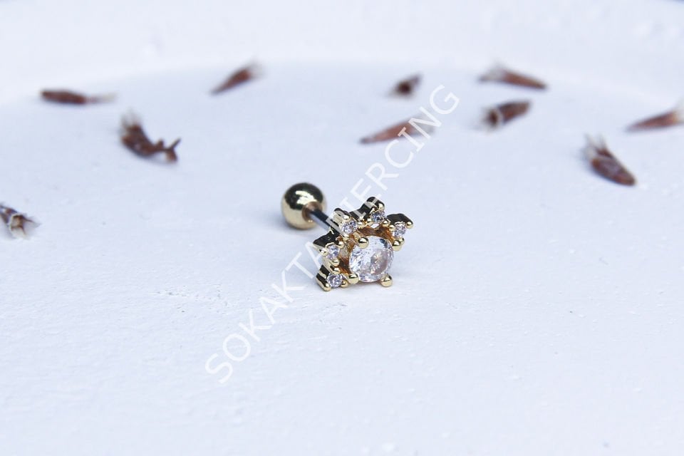 C10 - TRAGUS Silver