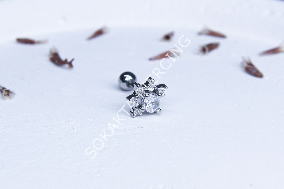 C10 - TRAGUS Silver