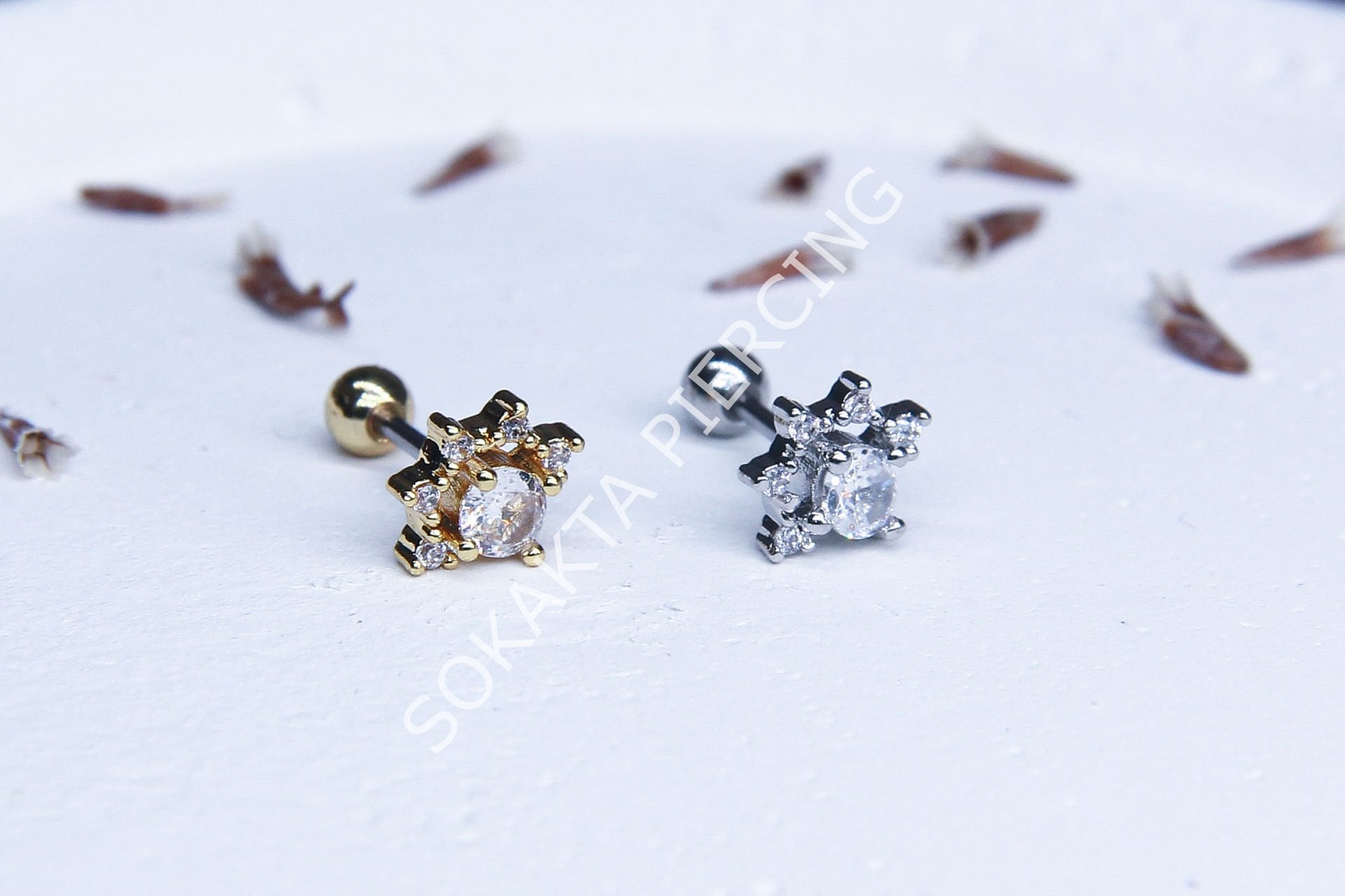 C10 - TRAGUS Silver