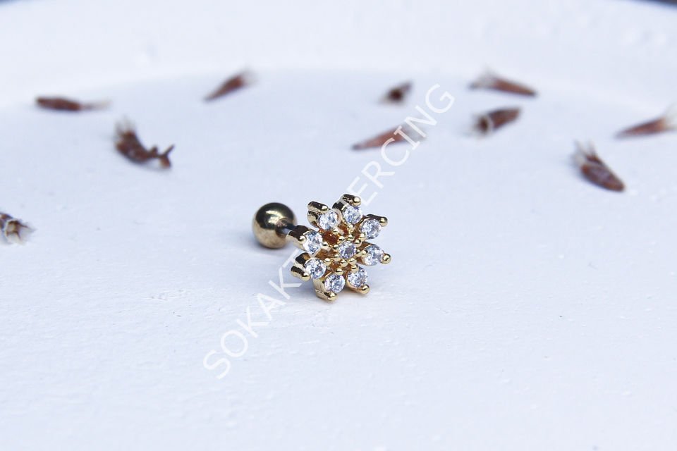 C30- TRAGUS Gold