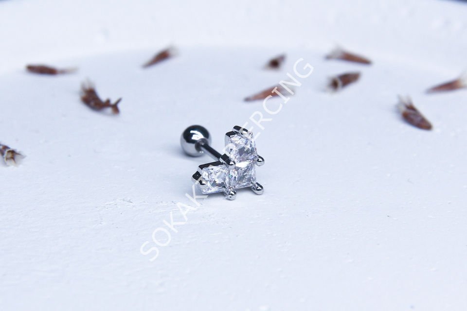 A80 - TRAGUS