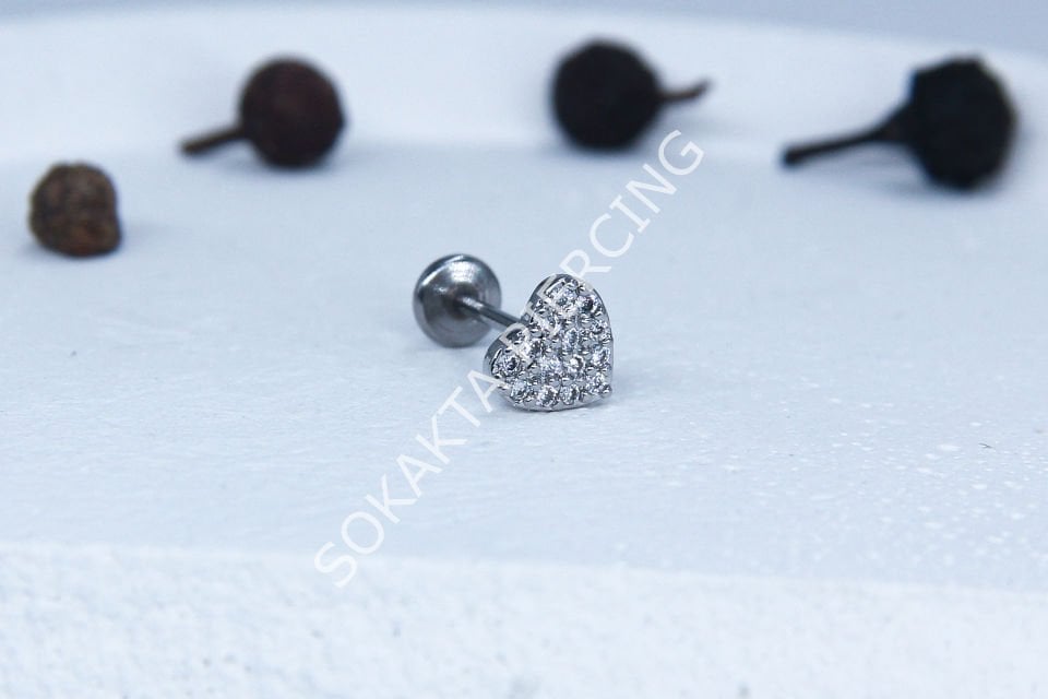 C48 - TRAGUS