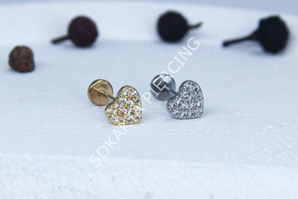 C48 - TRAGUS