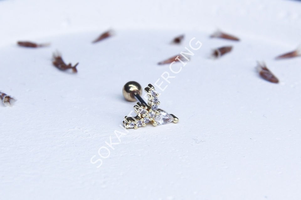 A104 - TRAGUS