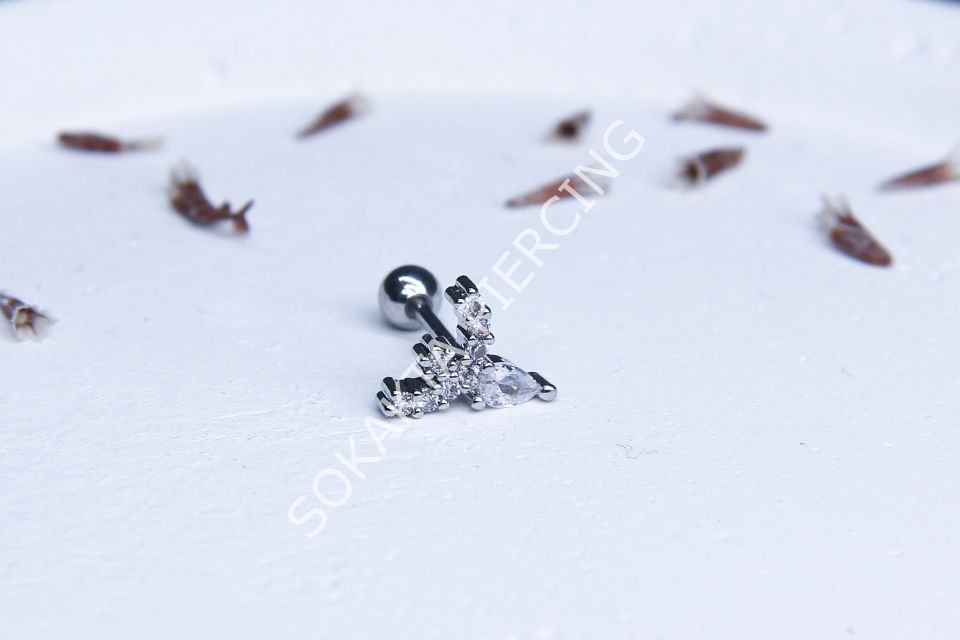 A104 - TRAGUS