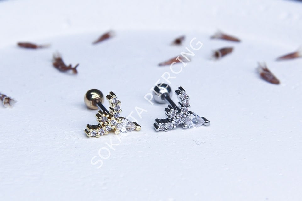 A104 - TRAGUS