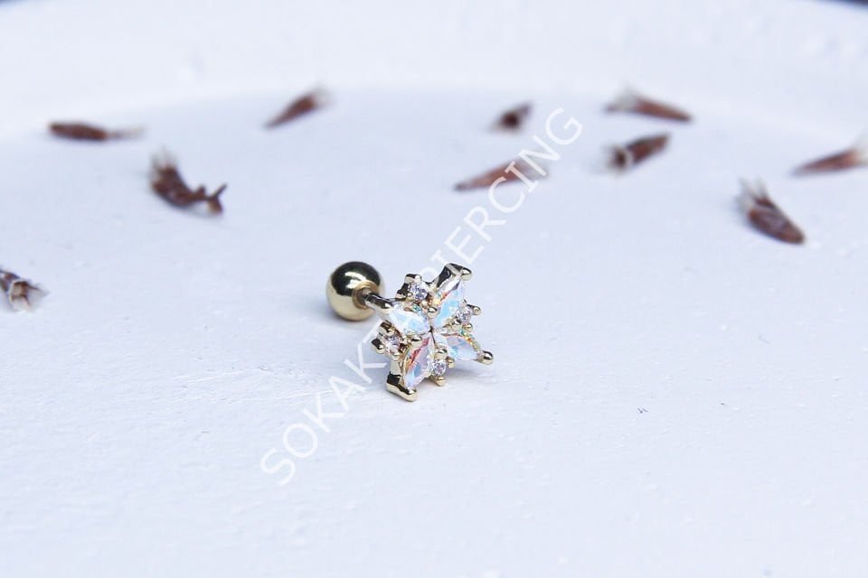 B31 - TRAGUS