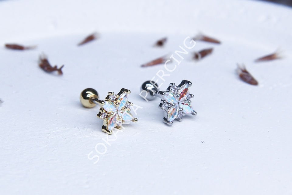 B31 - TRAGUS