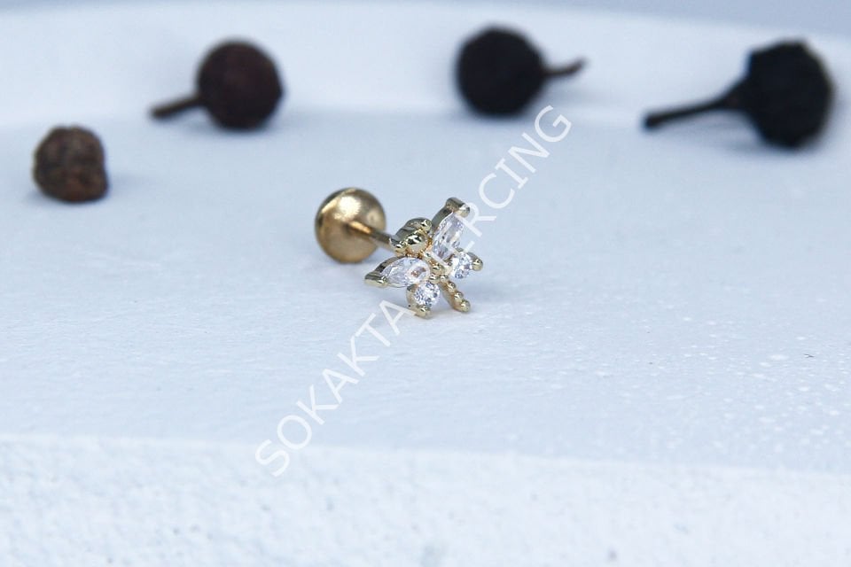 C55 - TRAGUS