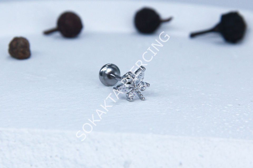 C55 - TRAGUS