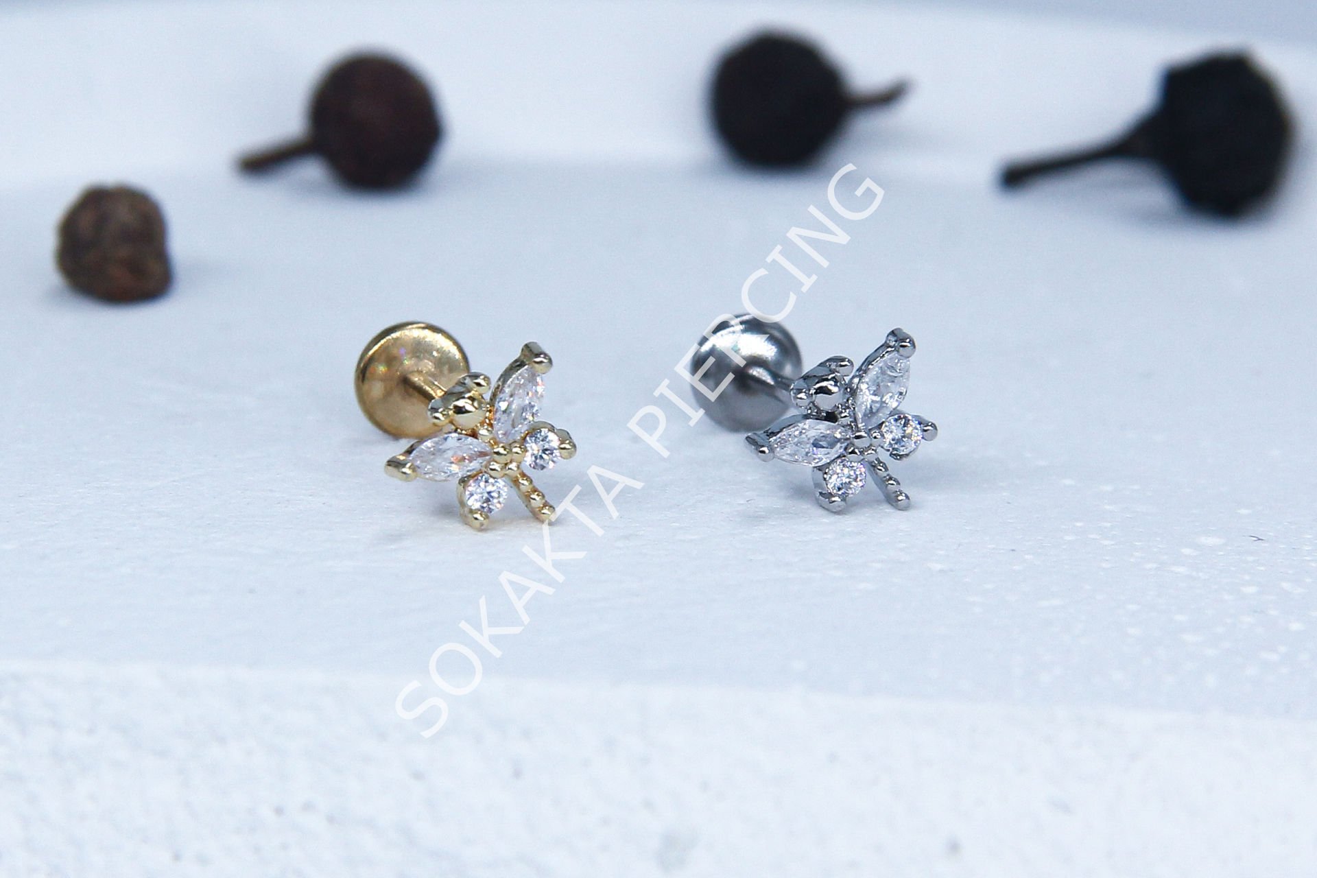 C55 - TRAGUS