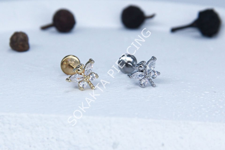 C55 - TRAGUS