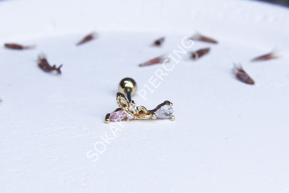 C13 - TRAGUS Gold