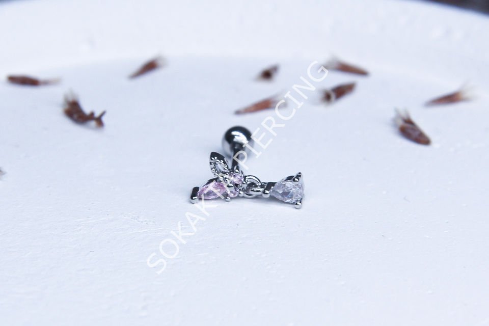 C13 - TRAGUS Gold