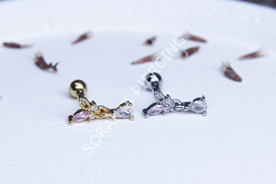 C13 - TRAGUS Gold