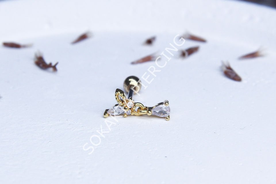B26 - TRAGUS Gold