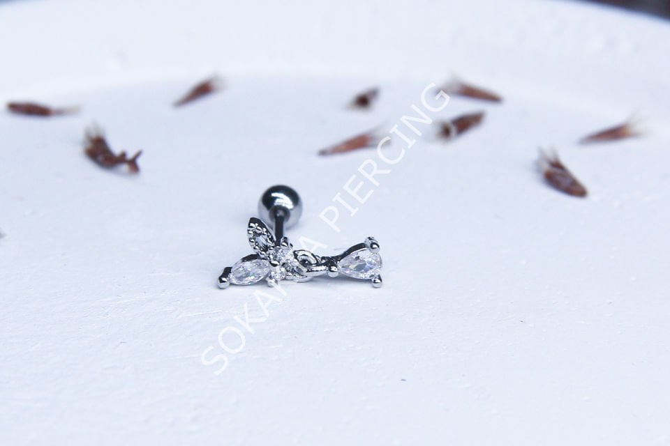 B26 - TRAGUS Gold