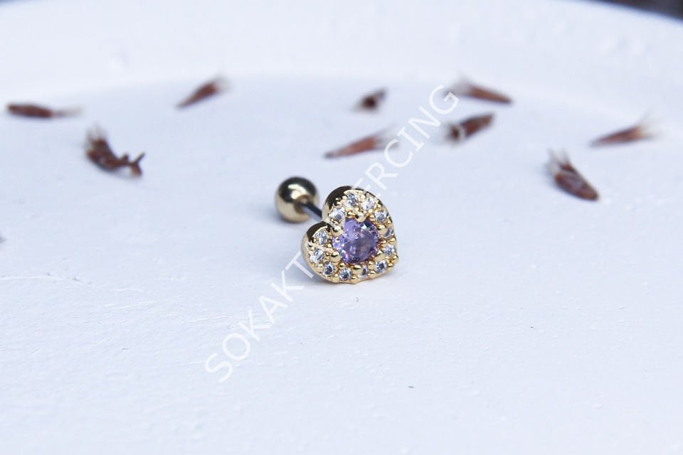 B102 - TRAGUS