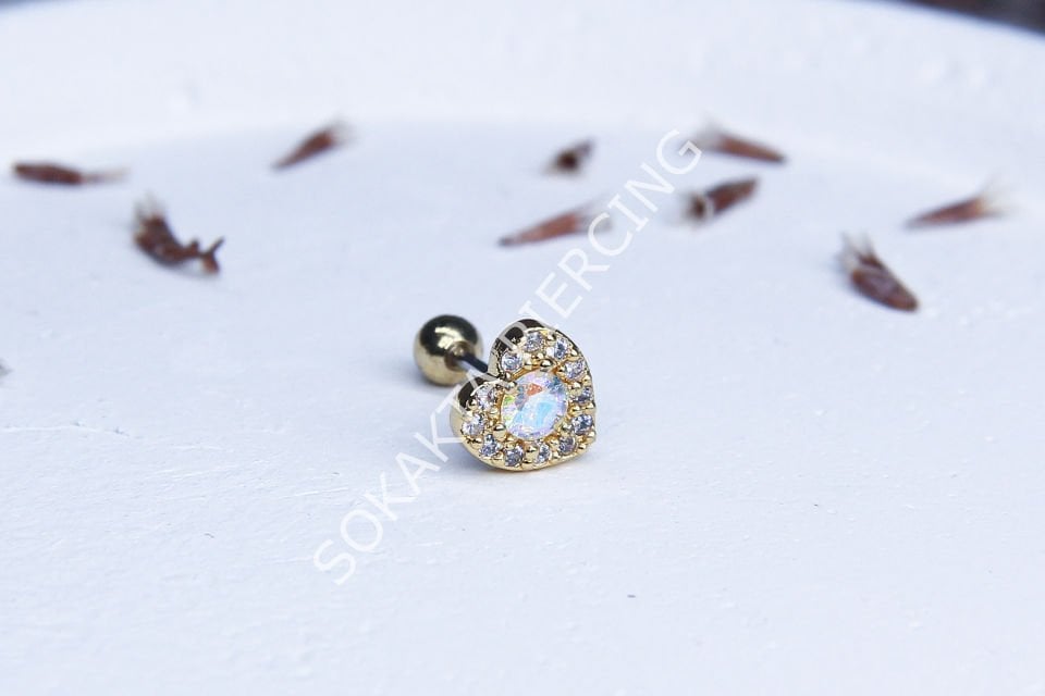 B101 - TRAGUS