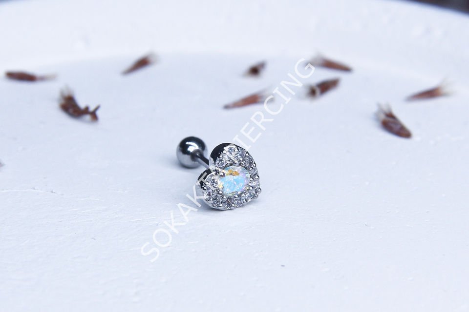 B101 - TRAGUS
