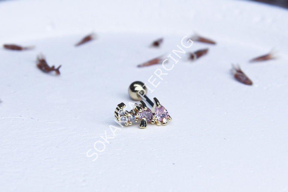 A53 - TRAGUS Silver