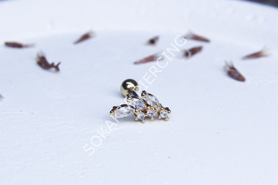 B46 - TRAGUS Silver