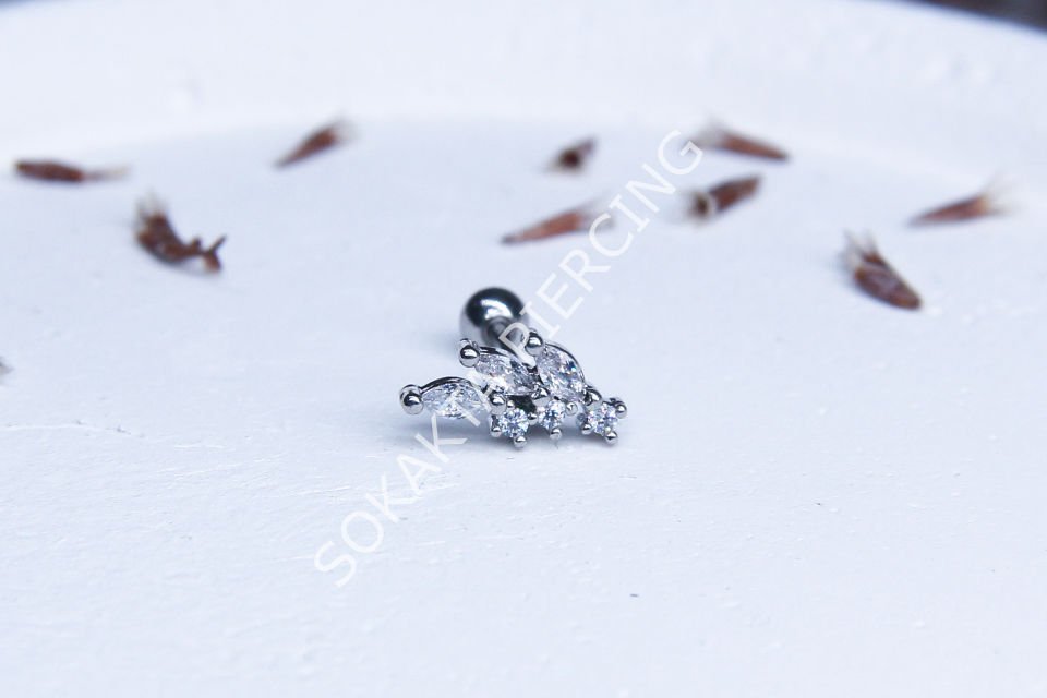 B46 - TRAGUS Silver