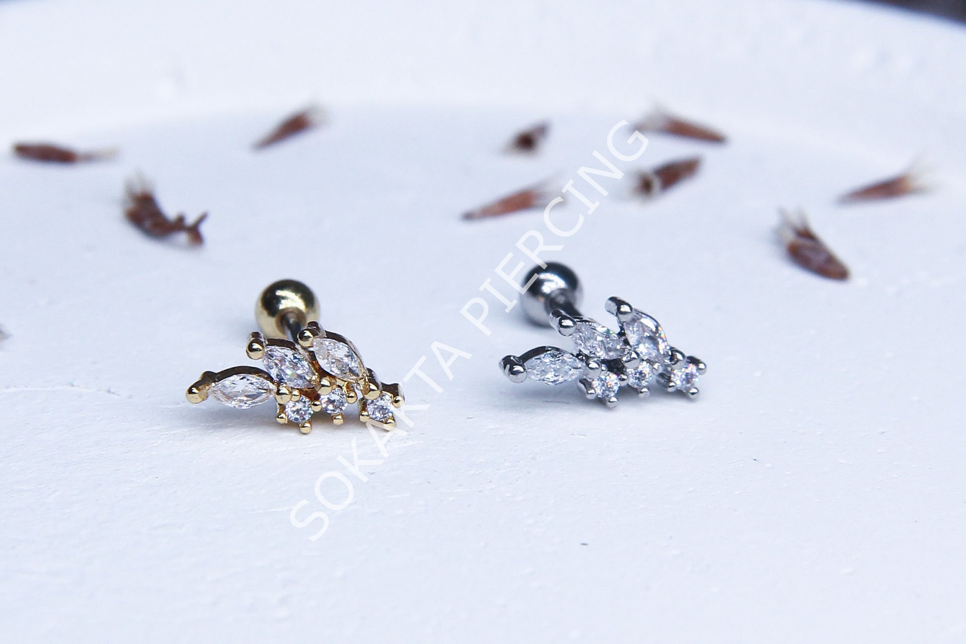 B46 - TRAGUS Silver
